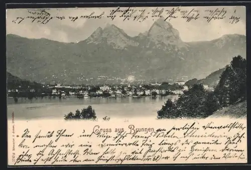 AK Brunnen, Blick vom See aus zum Ort
