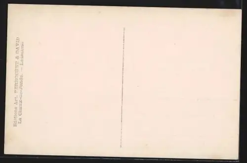 AK Territet, Vue Générale et Dents du Midi