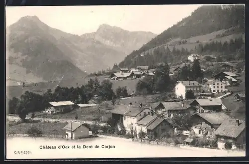 AK Château d`Oex, Panorama et la Dent de Corjon