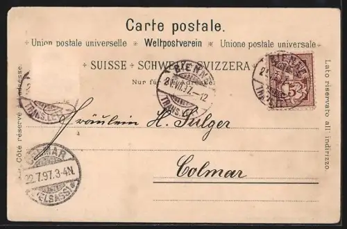 Lithographie Bern, Totalansicht über die Dächer mit Gebirgspanorama