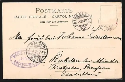 AK Grindelwald, Ortspartie, Kuh am Ufer