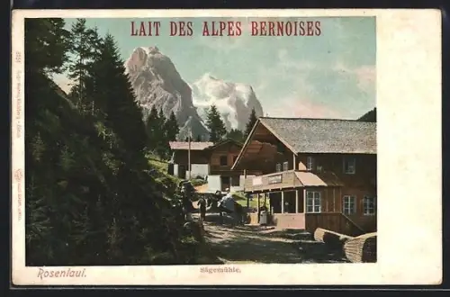 AK Rosenlaui, Sägemühle mit Leuten