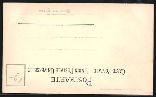 Lithographie Luzern, Panorama mit Hotel, Blütenzweig, Passepartout