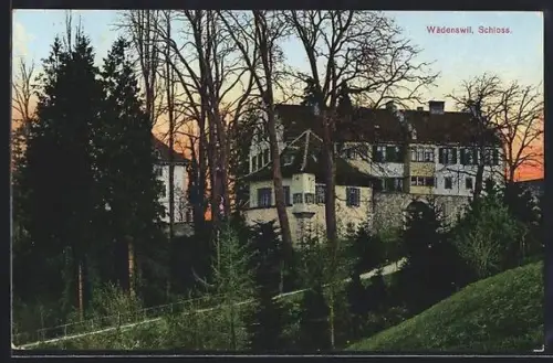 AK Wädenswil, Schloss