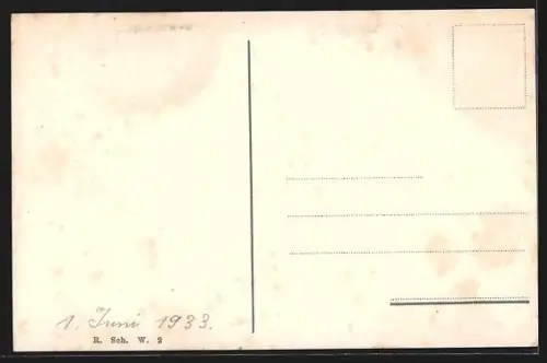 AK Wädenswil, Schloss