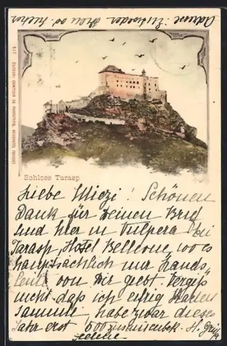 AK Tarasp, Blick auf das Schloss