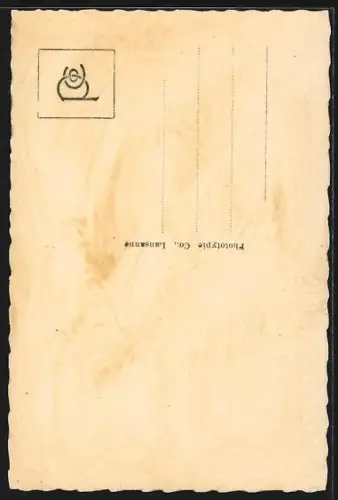 AK Oberwald /Ober-Wallis, Ort aus der Vogelschau