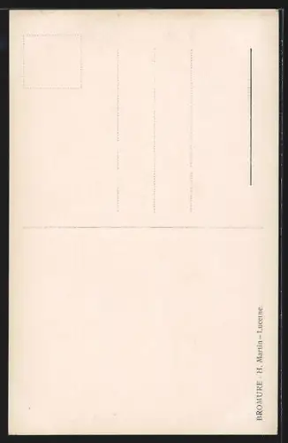 AK Interlaken, Gesamtansicht mit Gebirgspanorama