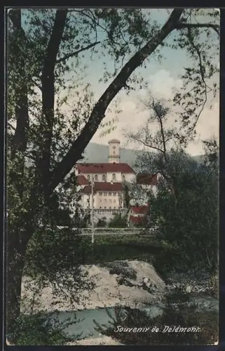 AK Delémont, Panorama