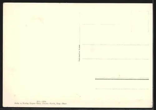 AK Oberwil am Zugersee, Ortsansicht mit Seeblick