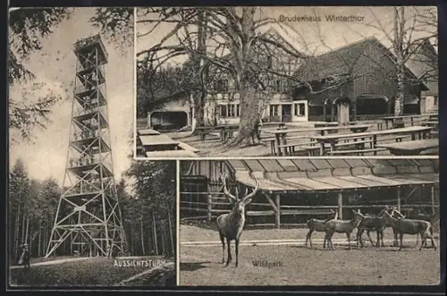 AK Winterthur, Bruderhaus, Wildpark und Aussichtsturm