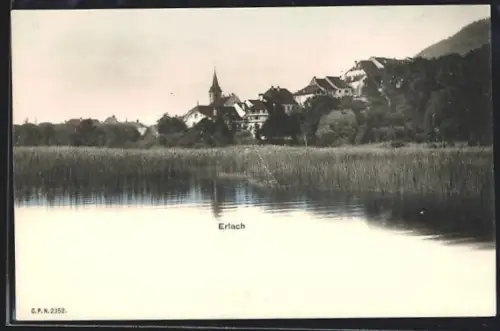 AK Erlach, Flusspartie mit Schilf und Kirche in der Distanz