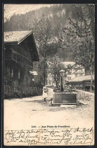 AK Les Plans s. Bex, Aux Plans de Frenières
