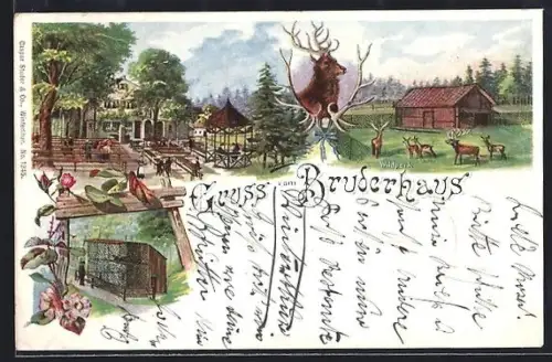 Lithographie Winterthur, Gasthof Bruderhaus mit Wildpark