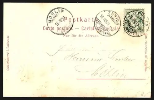 Lithographie Zürich, Teilansicht mit Landesmuseum, Wappen