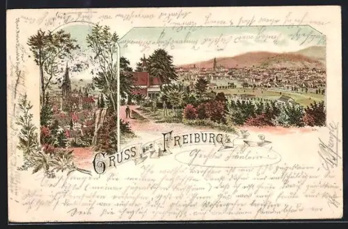 Lithographie Freiburg i. B., Ortsansicht aus der Vogelschau