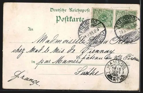 Lithographie Freiburg / Breisgau, Münster, Sieges-Denkmal, Kaufhaus, Alte Universität