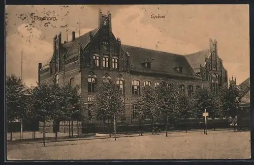 AK Elmshorn, Lyzeum