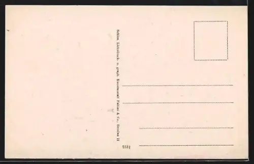 AK Lemgo, Mittel-Strasse mit Geschäft