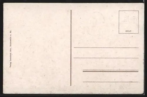 AK Schierstein a. Rh., Partie an der Biebricherstrasse mit Herrenhaus