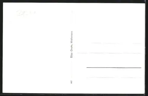 AK Wallensen, Badeanstalt, Ratskeller, Geschäftshaus E. Grote