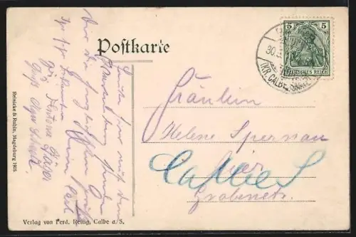 AK Calbe / Saale, Partie aus den Anlagen auf dem Wartenberg