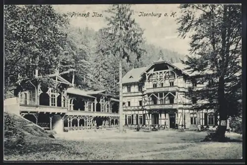 AK Ilsenburg a. H., Hotel Prinzess Ilse