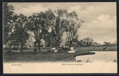 AK Wedel, Blick von den Auwiesen
