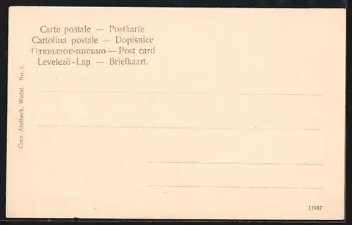 AK Wedel, Blick von den Auwiesen