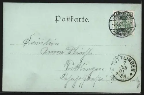 Mondschein-AK Frankfurt-Westend, Palmengarten