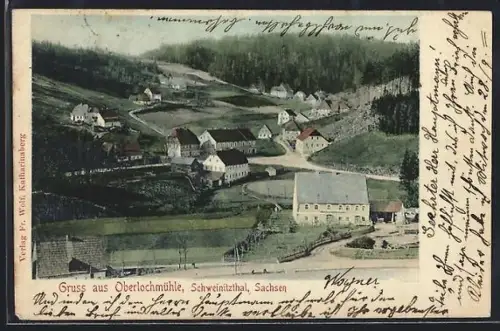 AK Oberlochmühle /Schweinitztal, Ortsansicht vom Berghang aus