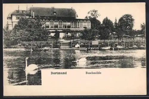 AK Dortmund, Restaurant Buschmühle, Teich mit Schwänen