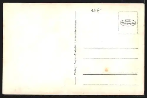 AK Lindau, Uferpartie mit Seehafen-Beleuchtung