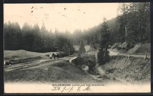 AK Wildemann, Partie aus dem Spiegeltal