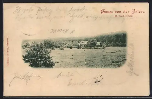 AK Birkenwerder, Gasthaus an der Briese, R. Bachernick