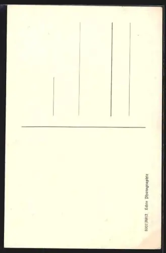 AK Osnabrück, Alte Häuser mit Geschäften an der Bierstrasse