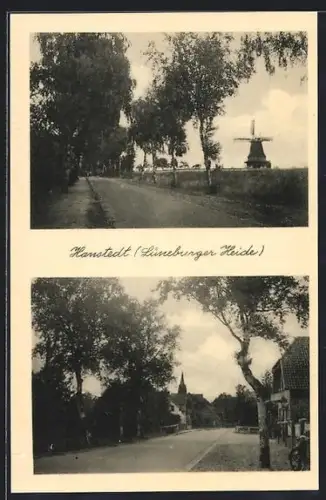 AK Hanstedt / Lüneburger Heide, Strassenpartie im Ort, Birkenallee mit Blick auf die Windmühle