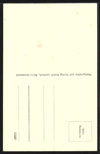 AK Templin /U. M., Blick auf das Berliner Tor