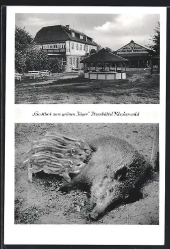 AK Itzenbüttel üb. Buchholz, Gasthof zum grünen Jäger, Wildschwein mit Frischlingen