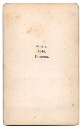 Fotografie Statue: Pomona