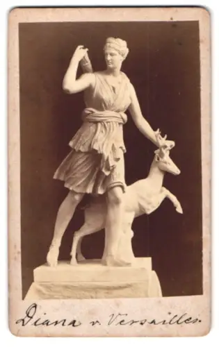 Fotografie Statue: Diana von Versailles