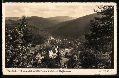AK Sitzendorf i. Schwarzatal, Blick zum Bahnhof