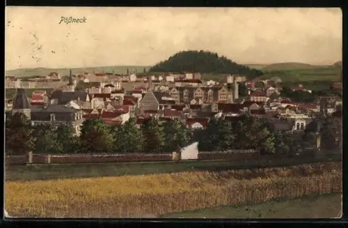 AK Pössneck, Gesamtansicht mit Getreidefeld
