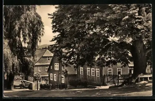 AK Oberhain-Mankenbach, Strassenpartie im Sonnenschein