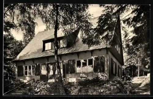 AK Bad Elster-Bärenloh, Waldcafé Zum alten Schloss, Bes. H. Beer