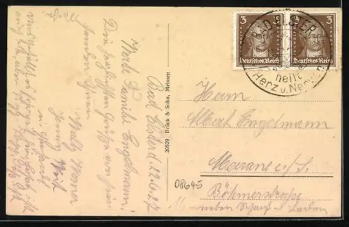 AK Bad Elster, Gesamtansicht aus der Vogelschau