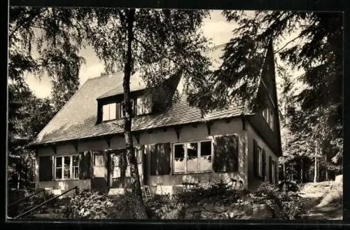AK Bad Elster-Bärenloh, Waldcafe Zum alten Schloss