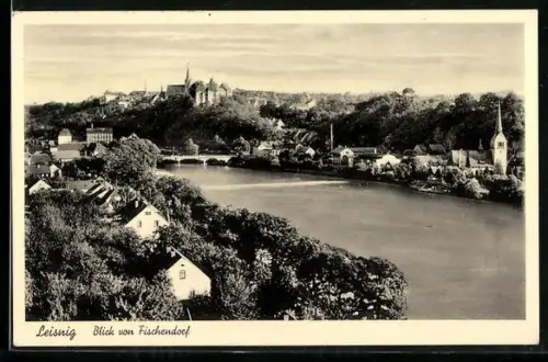 AK Leisnig, Blick von Fischendorf aus