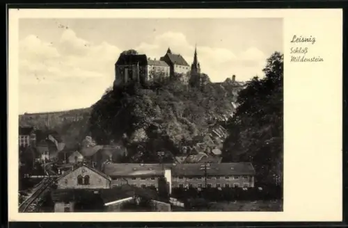 AK Leisnig, Schloss Mildenstein