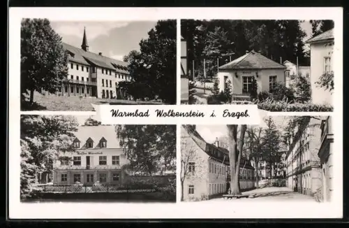 AK Wolkenstein /Erzgeb., Café Warmbad, Quelle und Strassenpartie